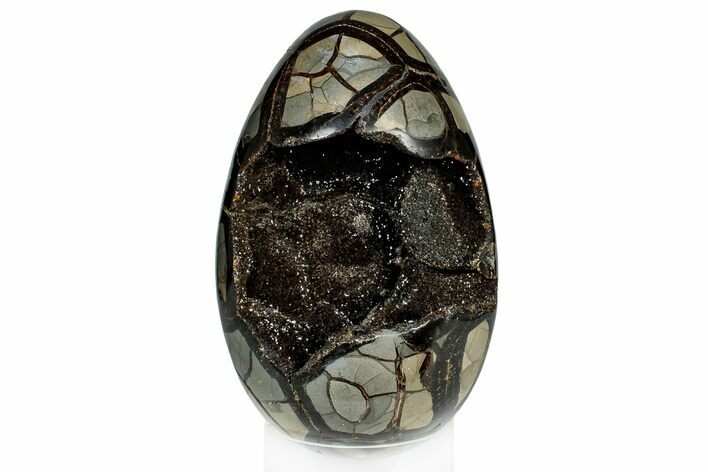 Septarian Dragon Egg Geode - Black Crystals #302858